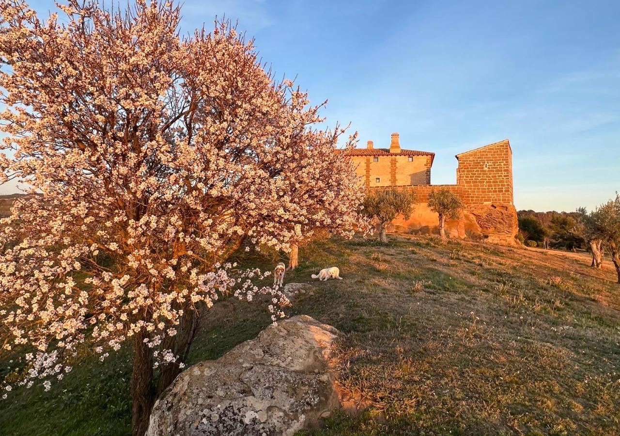 Castillo De Corvinos Уэска Экстерьер фото